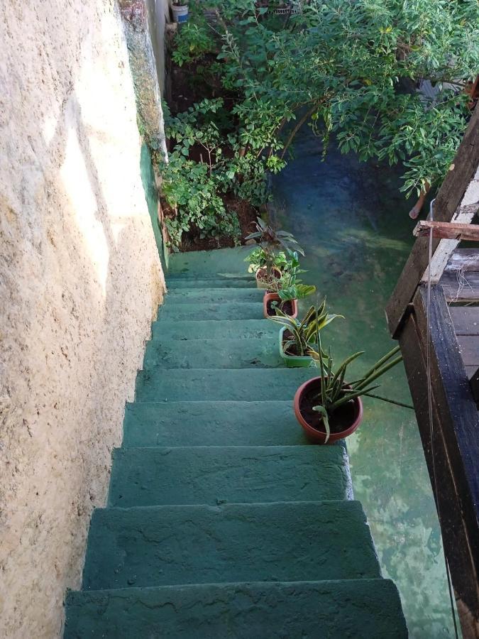 Hostel Bela Vista Salvador Kültér fotó